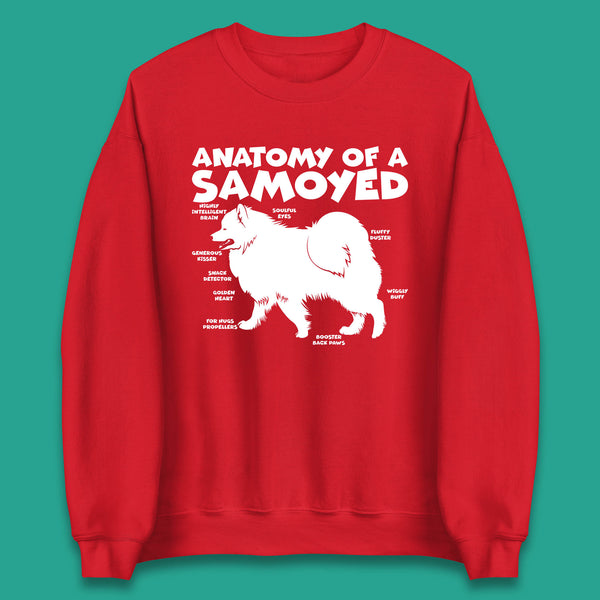 Samoyed Dog Jumper Buy Samoyed Dog Sweatshirts Online Spoofytees