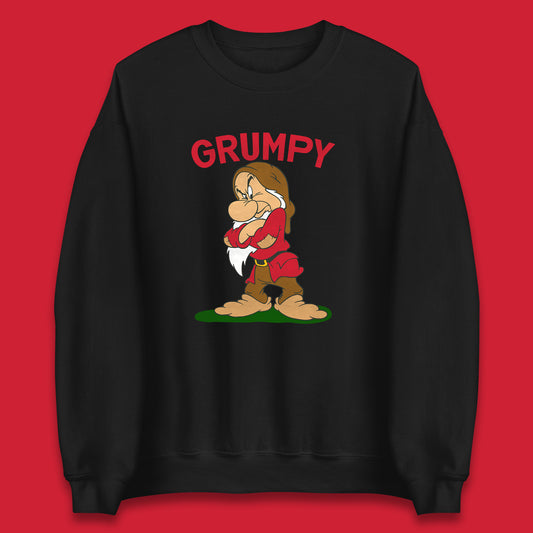 Seven 7 Dwarfs Disney Dwarfs Group Grumpy Sleepy Dopey Doc Sneezy Bashful Happy Disney Matching Outfit Disney Vacation Unisex Sweatshirt