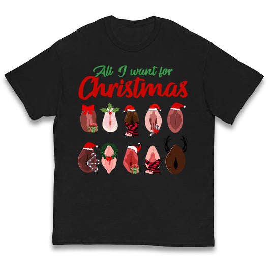 All I Want For Christmas Vagina Funny T Shirt