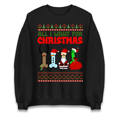 All I Want For Christmas Funny Sweatshirt