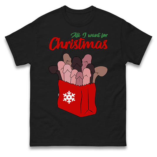 All I Want For Christmas Santa Bag Funny T Shirt