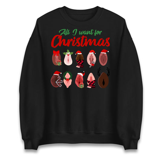 All I Want For Christmas Vagina Funny Sweatshirt