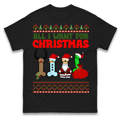 All I Want For Christmas Funny T Shirt