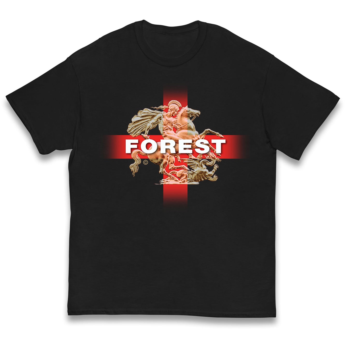 Forest St George & The Dragon Kids T Shirt