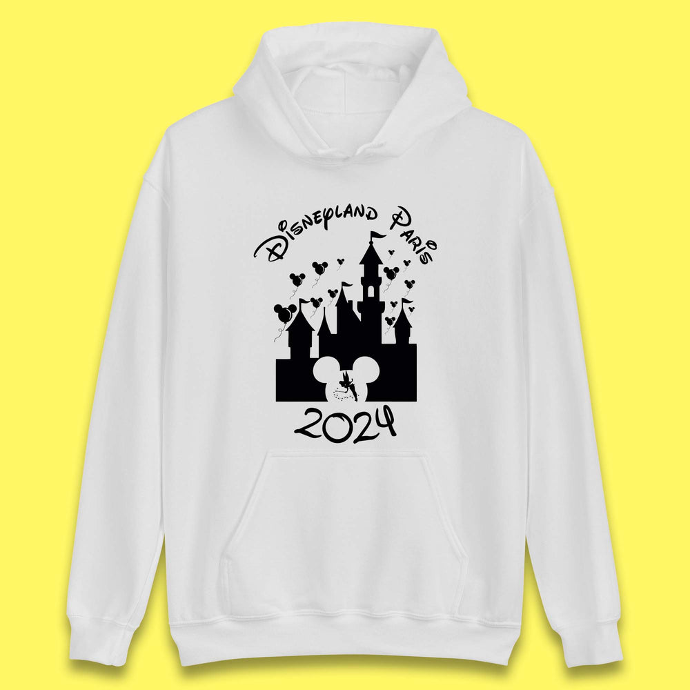 Disneyland on sale paris hoodies