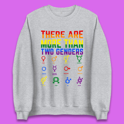 There Are More Than Two Genders Unisex Sweatshirt