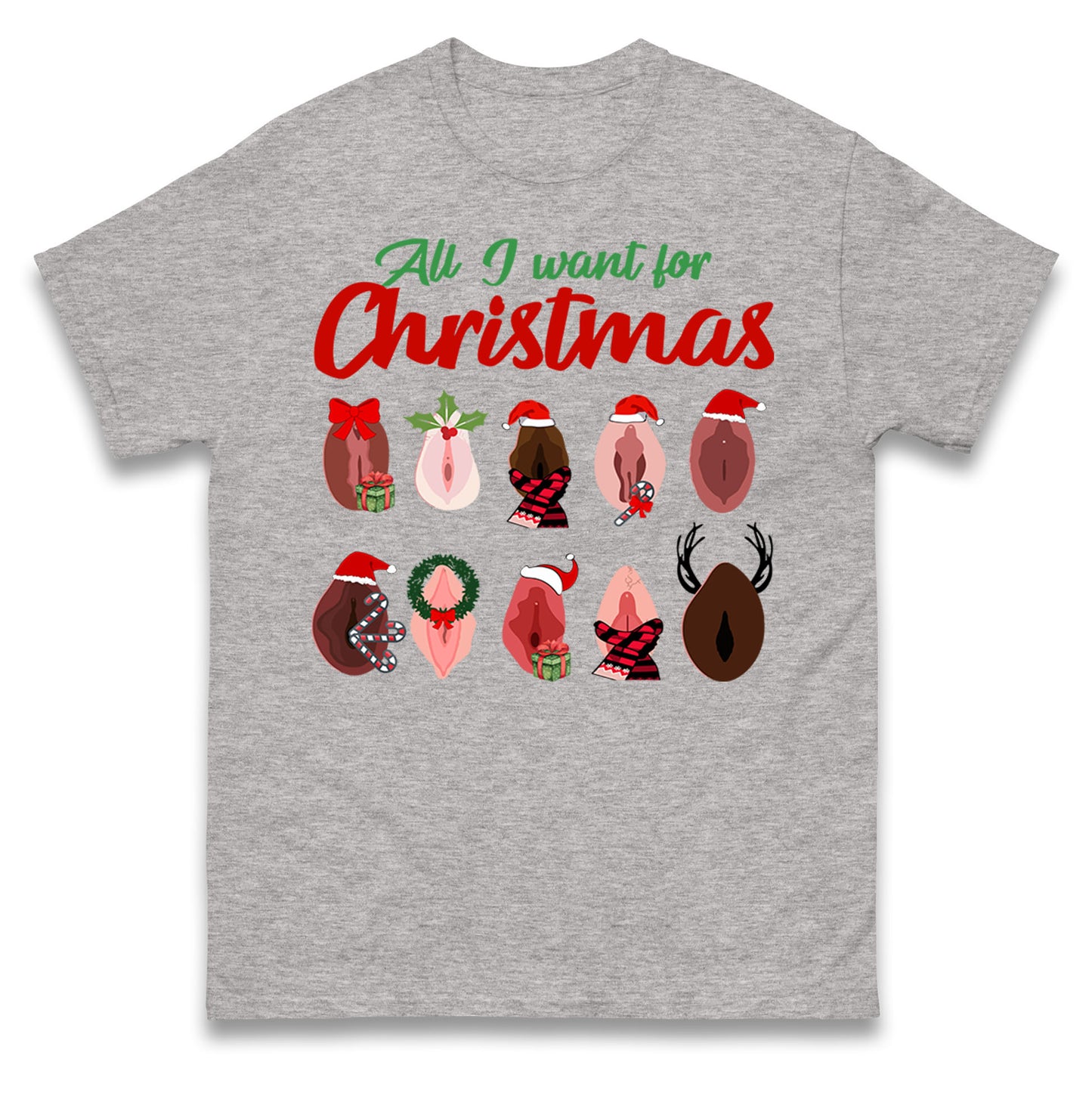 All I Want For Christmas Vagina Funny T Shirt