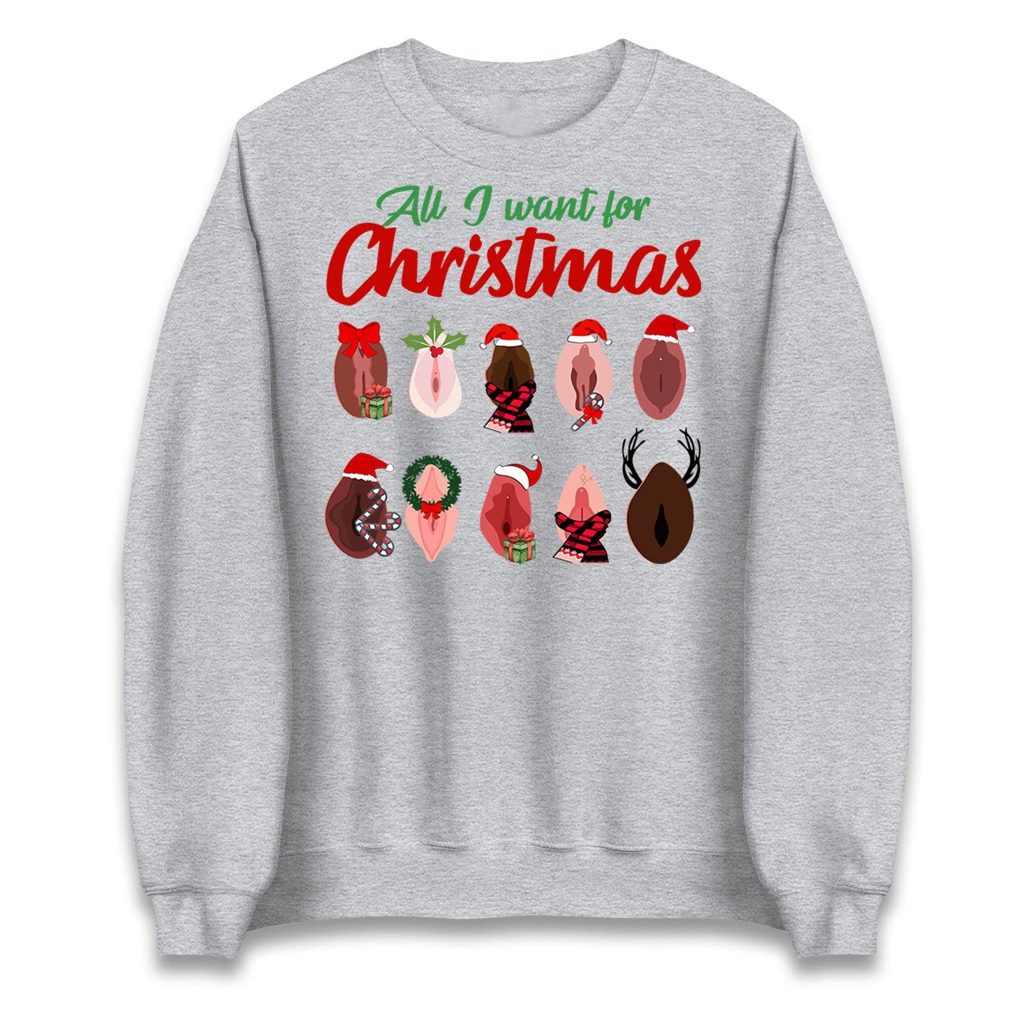 All I Want For Christmas Vagina Funny Sweatshirt