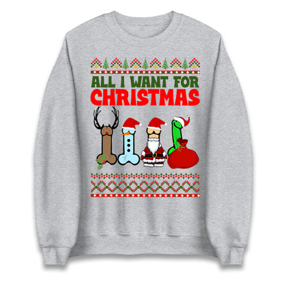 All I Want For Christmas Funny Adults Joke Sweatshirt