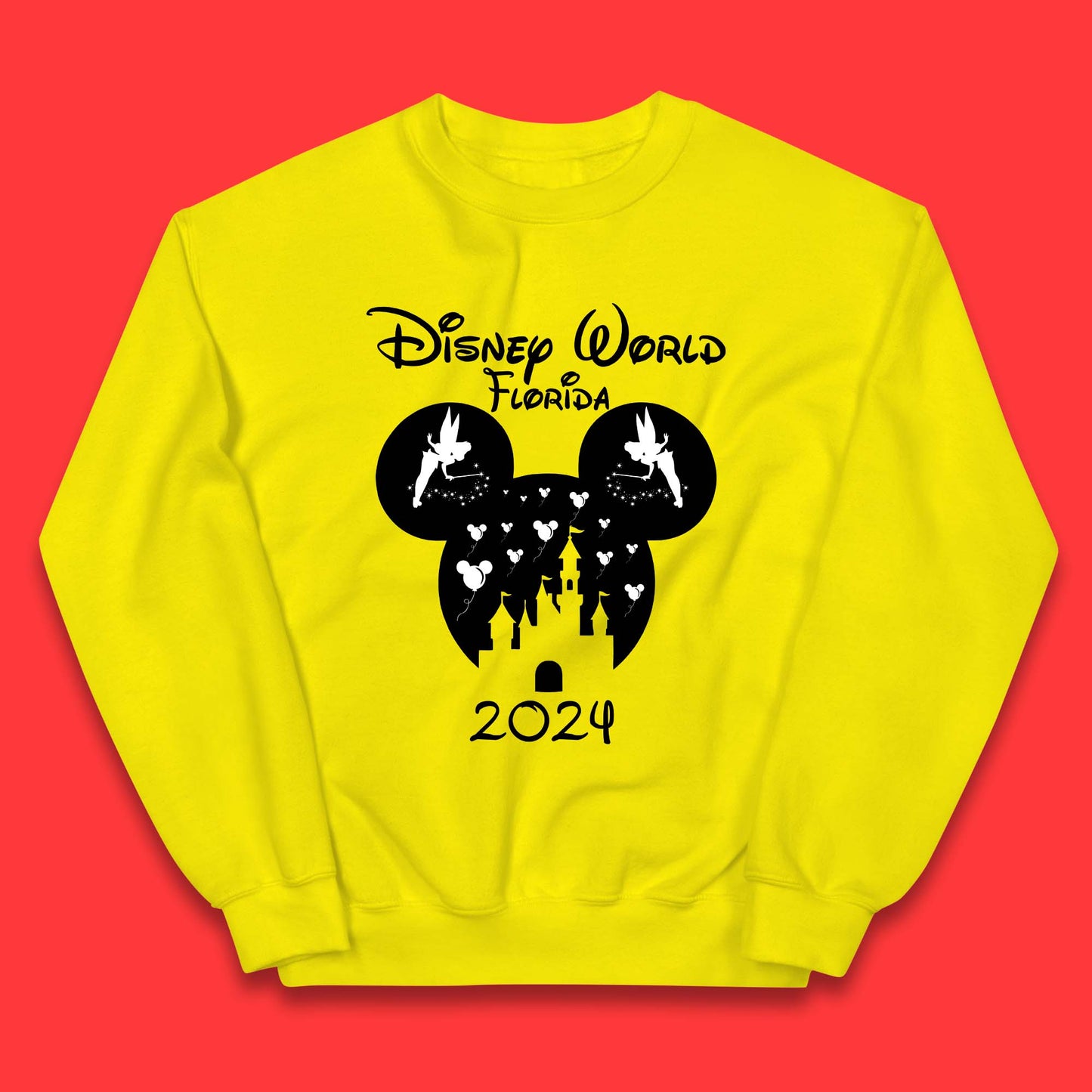 Disney World Florida 2024 Kids Jumper