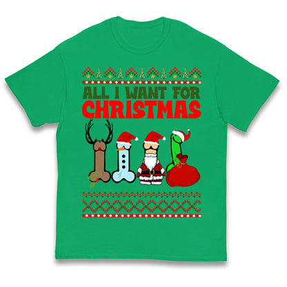 All I Want For Christmas Funny Adults Joke T Shirt