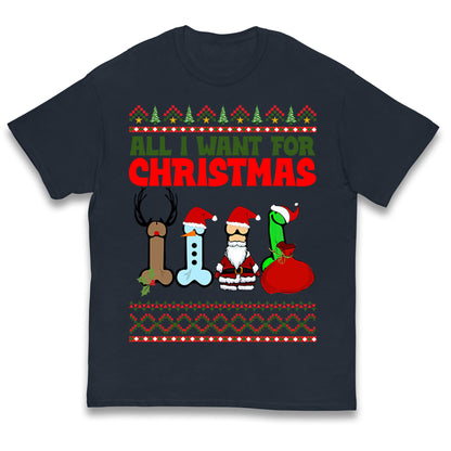 All I Want For Christmas Funny T Shirt