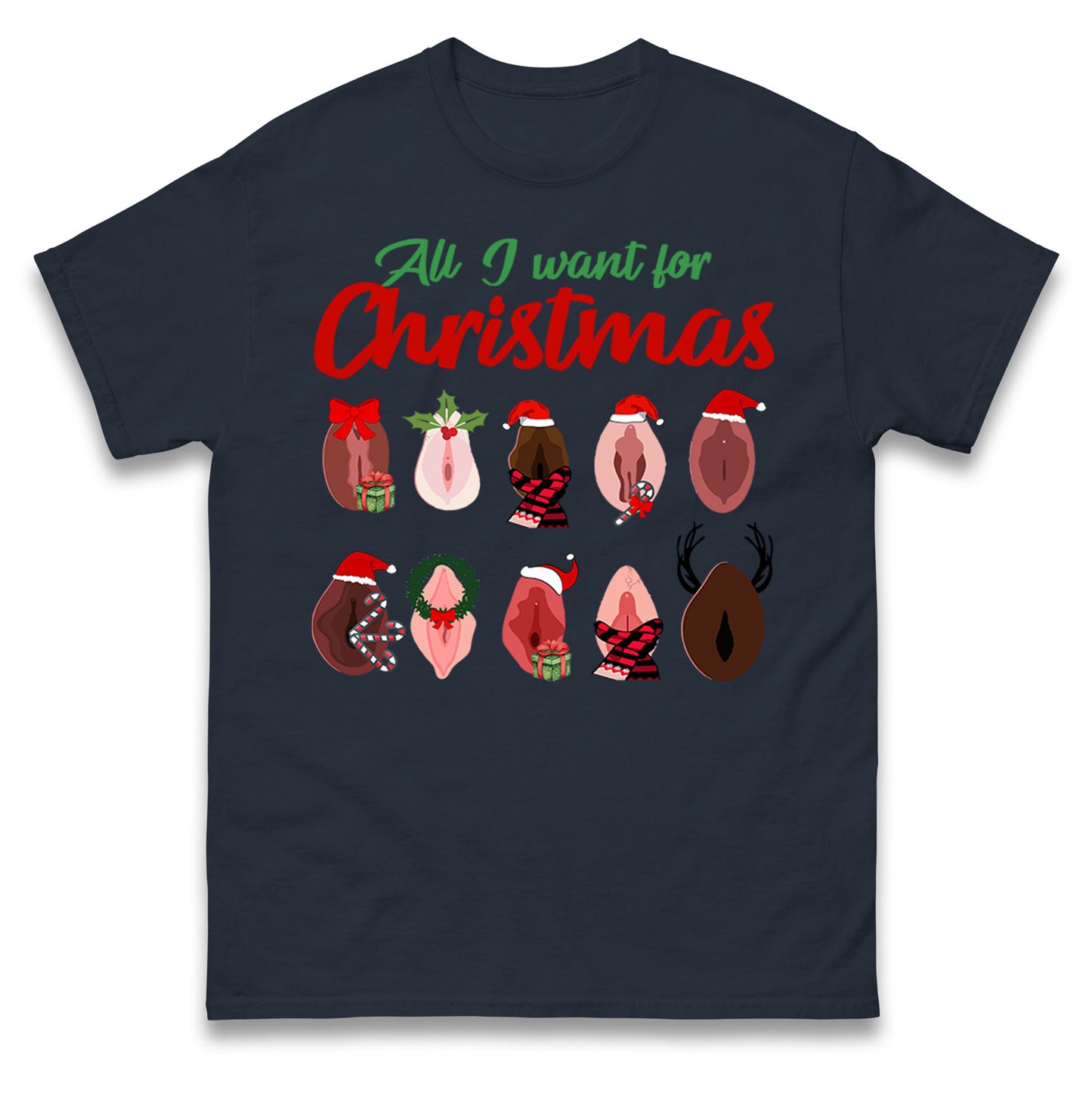 All I Want For Christmas Vagina Funny T Shirt