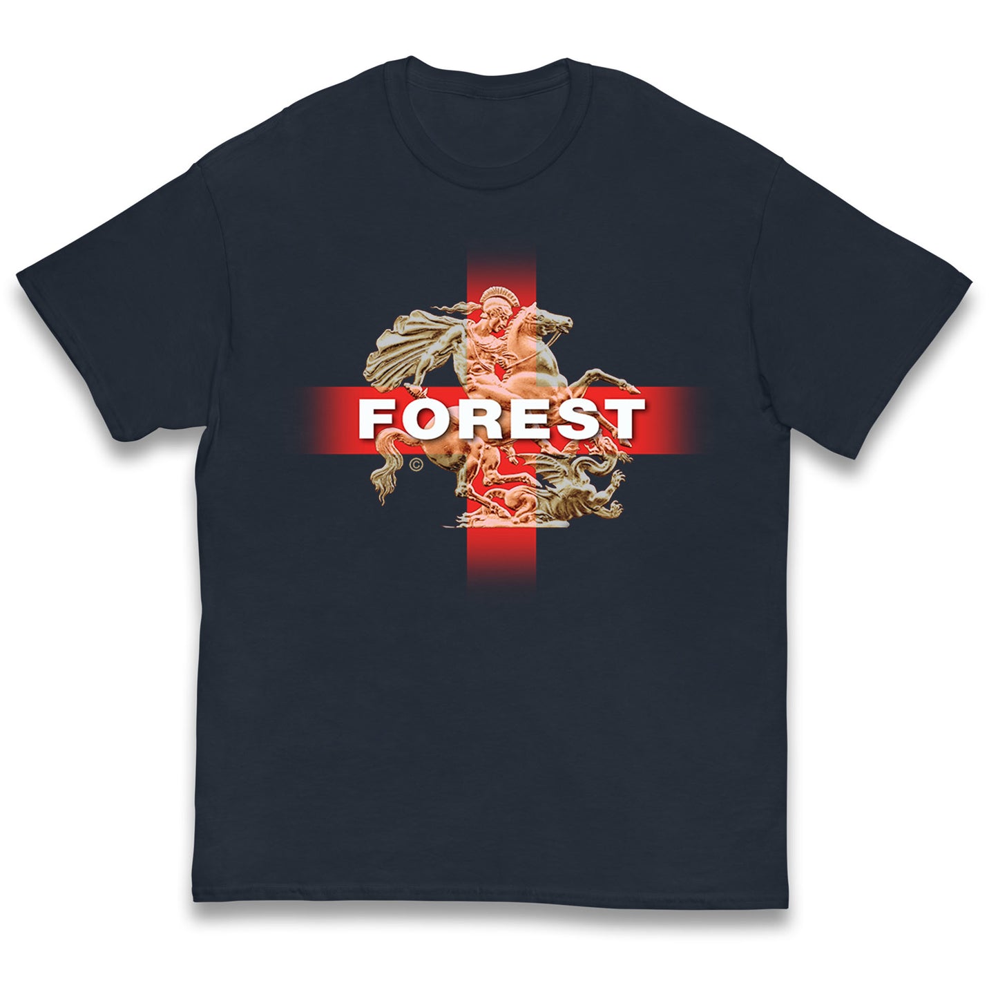 Forest St George & The Dragon Kids T Shirt