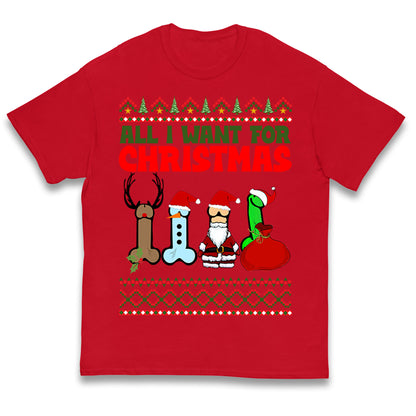 All I Want For Christmas Funny Adults Joke T Shirt