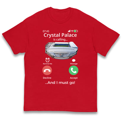 crystal palace kids t shirt