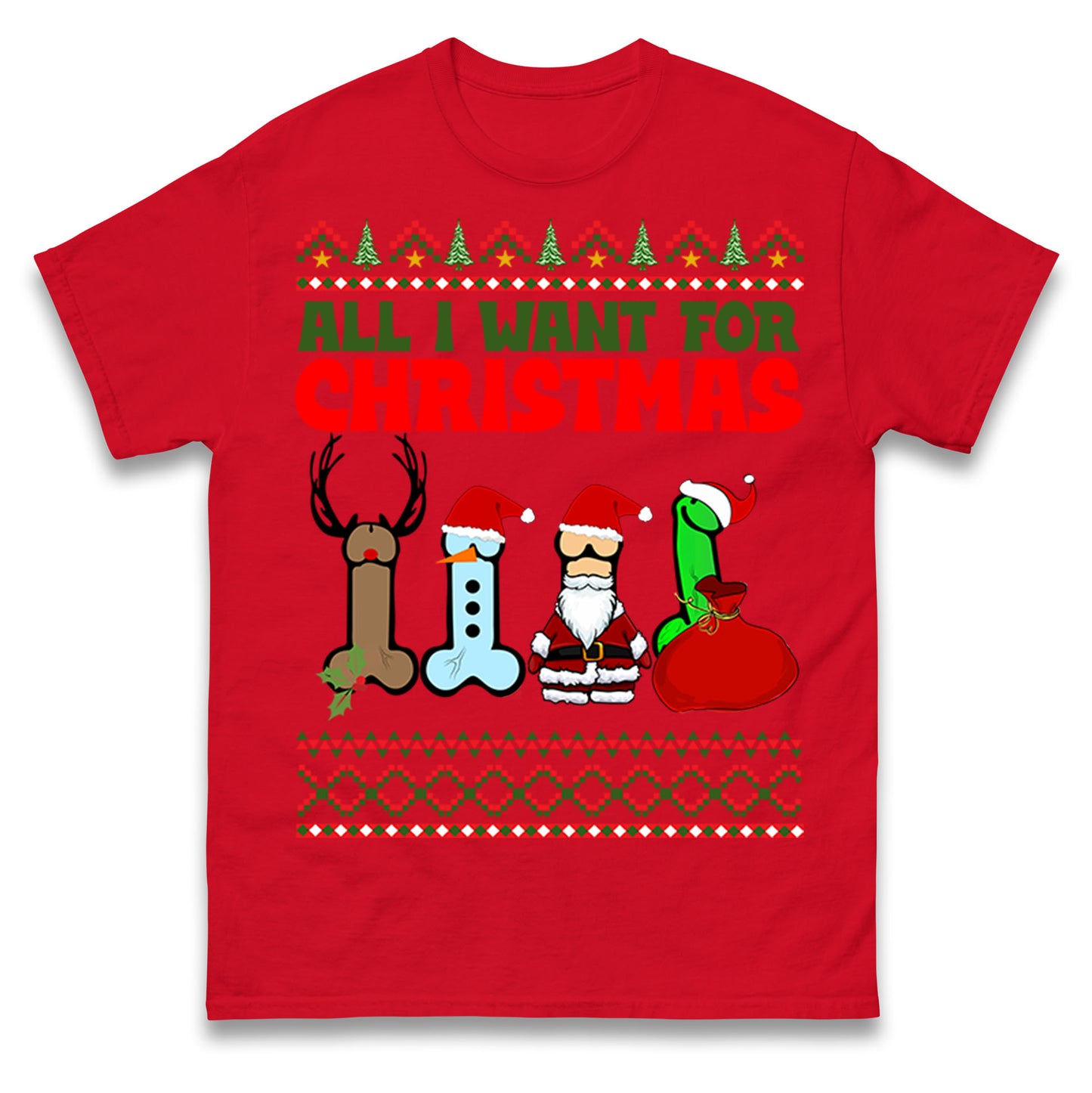 All I Want For Christmas Funny T Shirt