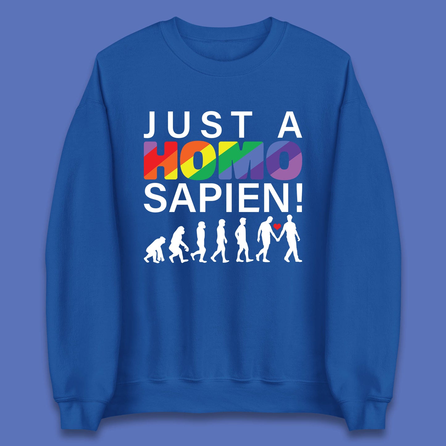 Just A Homo Sapien To Homo Erectus Evolution To Homo LGBTQ Funny Gay Pride Unisex Sweatshirt