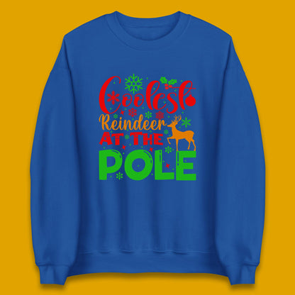 coolest reindeer sweatshirt