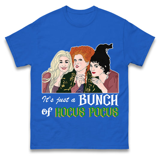 The Sanderson Sisters Disney Hocus Pocus t shirt
