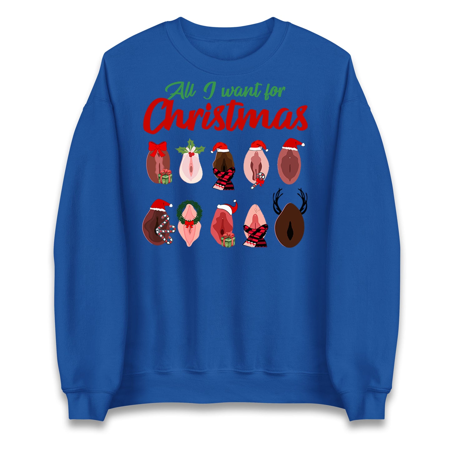 All I Want For Christmas Vagina Funny Sweatshirt