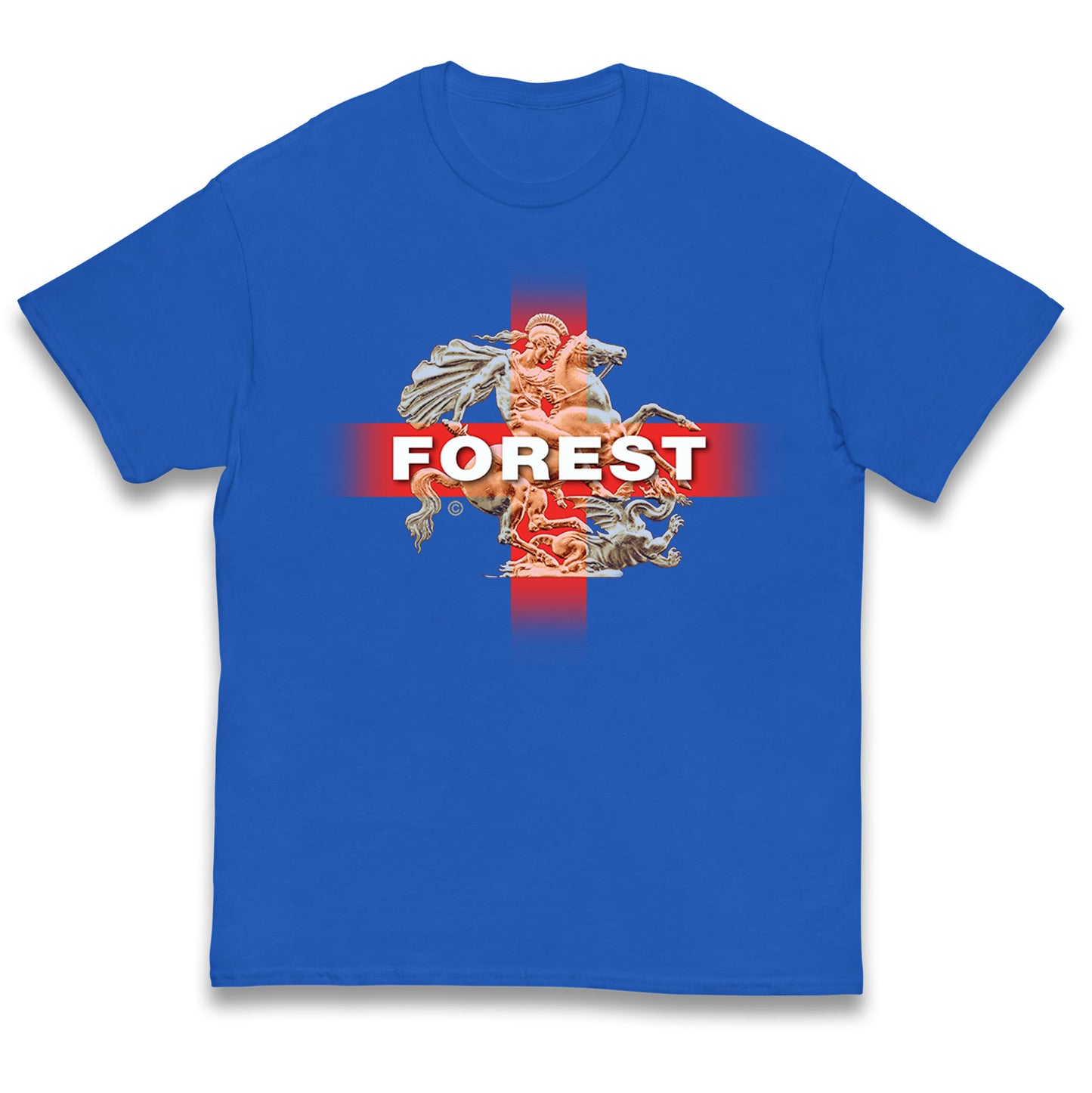 Forest St George & The Dragon Kids T Shirt