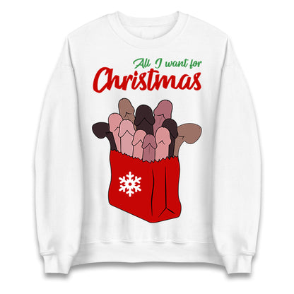 All I Want For Christmas Santa Bag Funny Sweatshirt