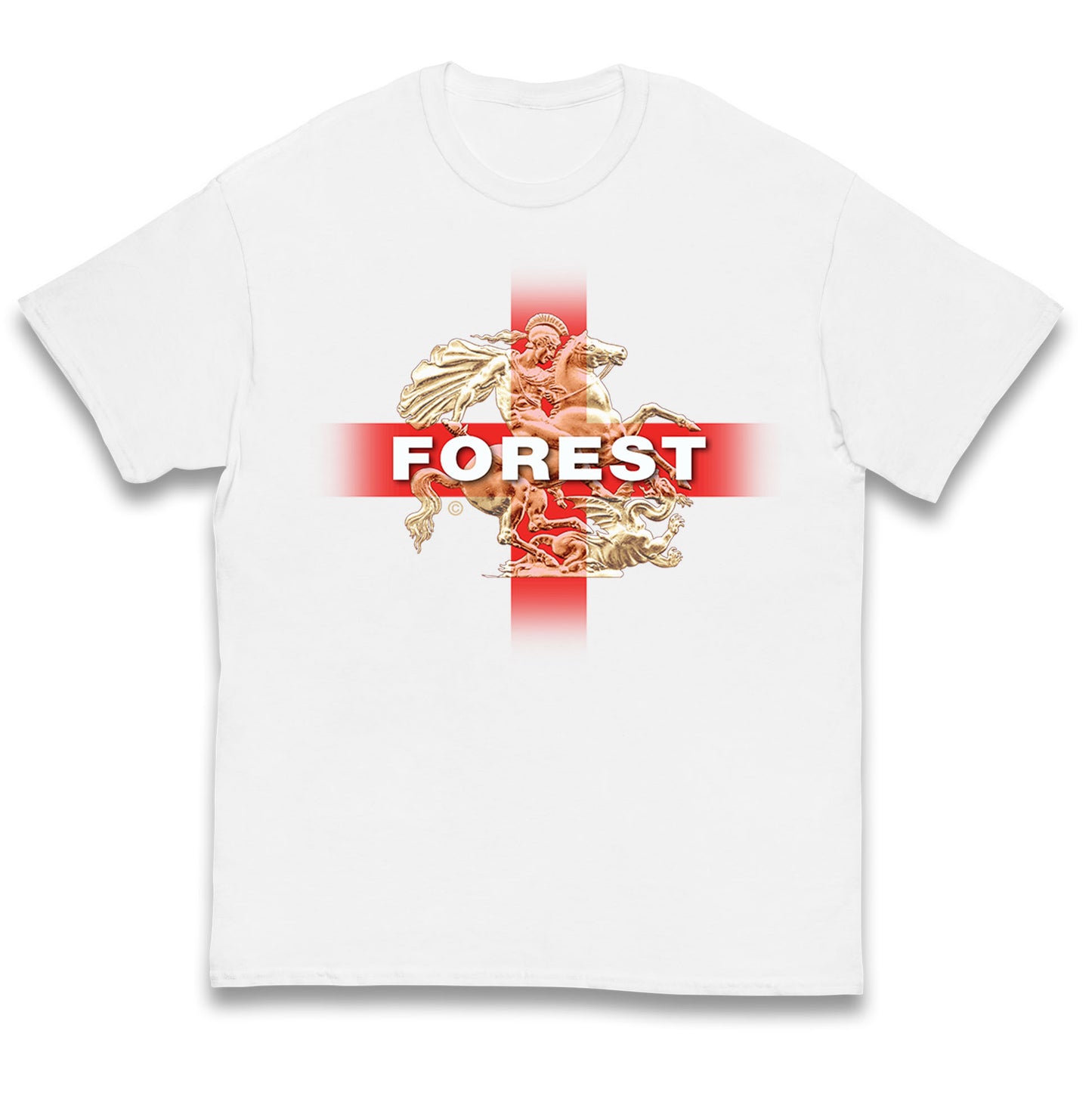 Forest St George & The Dragon Kids T Shirt