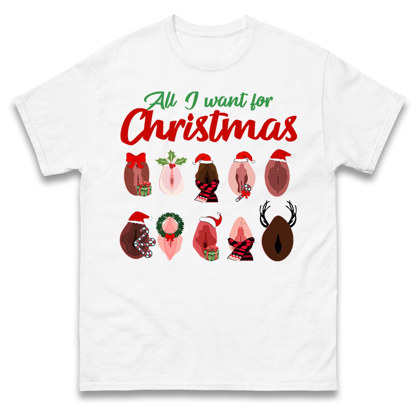 All I Want For Christmas Vagina Funny T Shirt