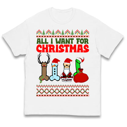 All I Want For Christmas Funny T Shirt