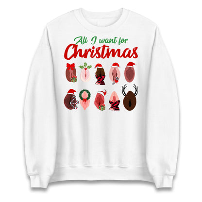 All I Want For Christmas Vagina Funny Sweatshirt