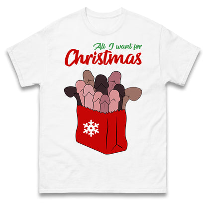 All I Want For Christmas Santa Bag Funny T Shirt