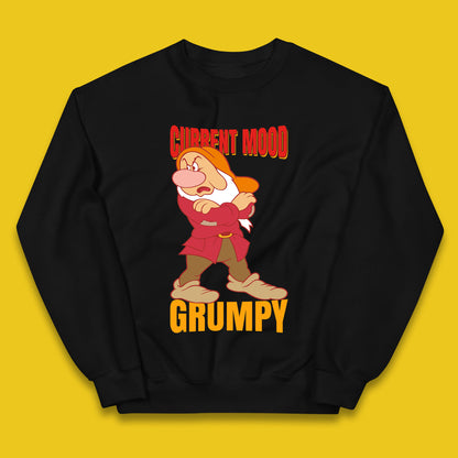 Disney Seven Dwarfs Current Mood Grumpy Bashful Sleepy Doc Dopey Sneezy Happy 7 Dwarfs Matching Disneyland Vacation Kids Jumper