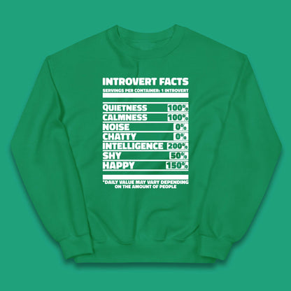 Introvert Facts Kids Jumper