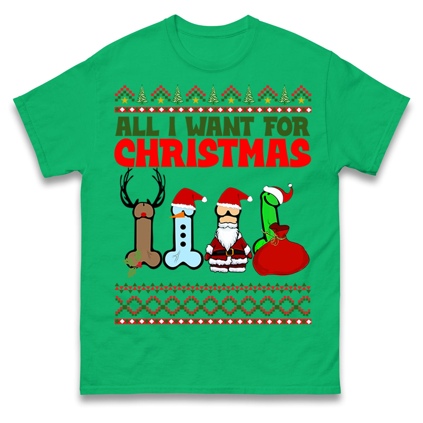 All I Want For Christmas Funny T Shirt