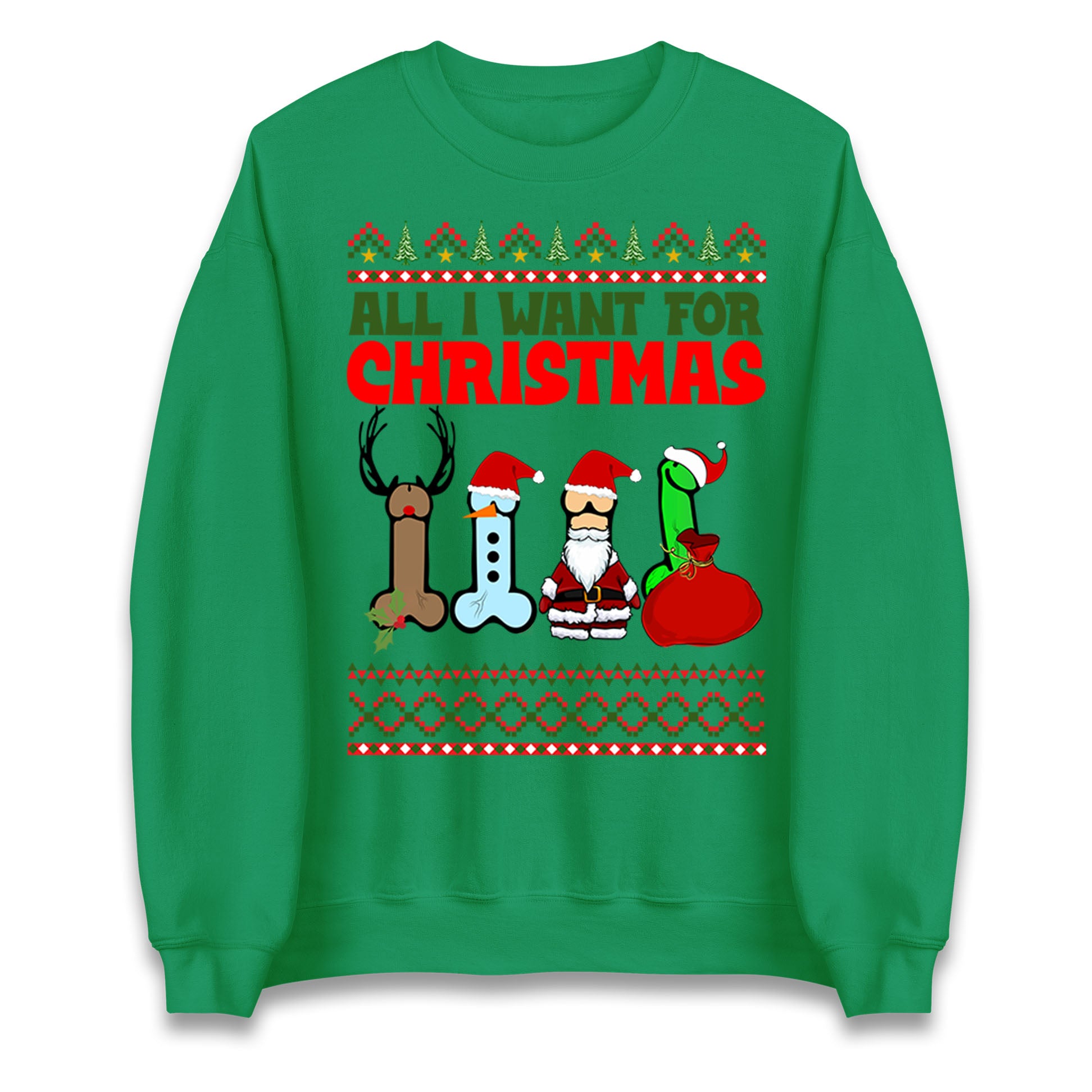 All I Want For Christmas Funny Sweatshirt