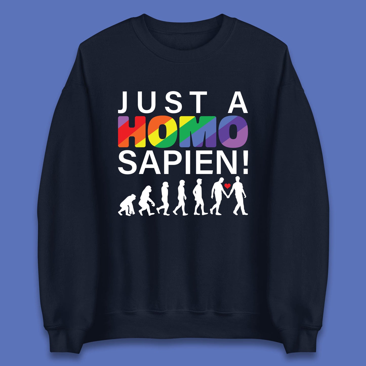 Just A Homo Sapien To Homo Erectus Evolution To Homo LGBTQ Funny Gay Pride Unisex Sweatshirt