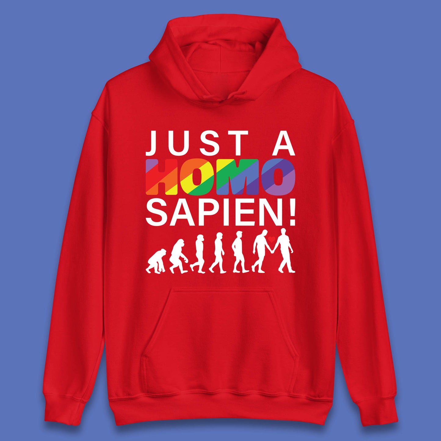 Just A Homo Sapien To Homo Erectus Evolution To Homo LGBTQ Funny Gay Pride Unisex Hoodie