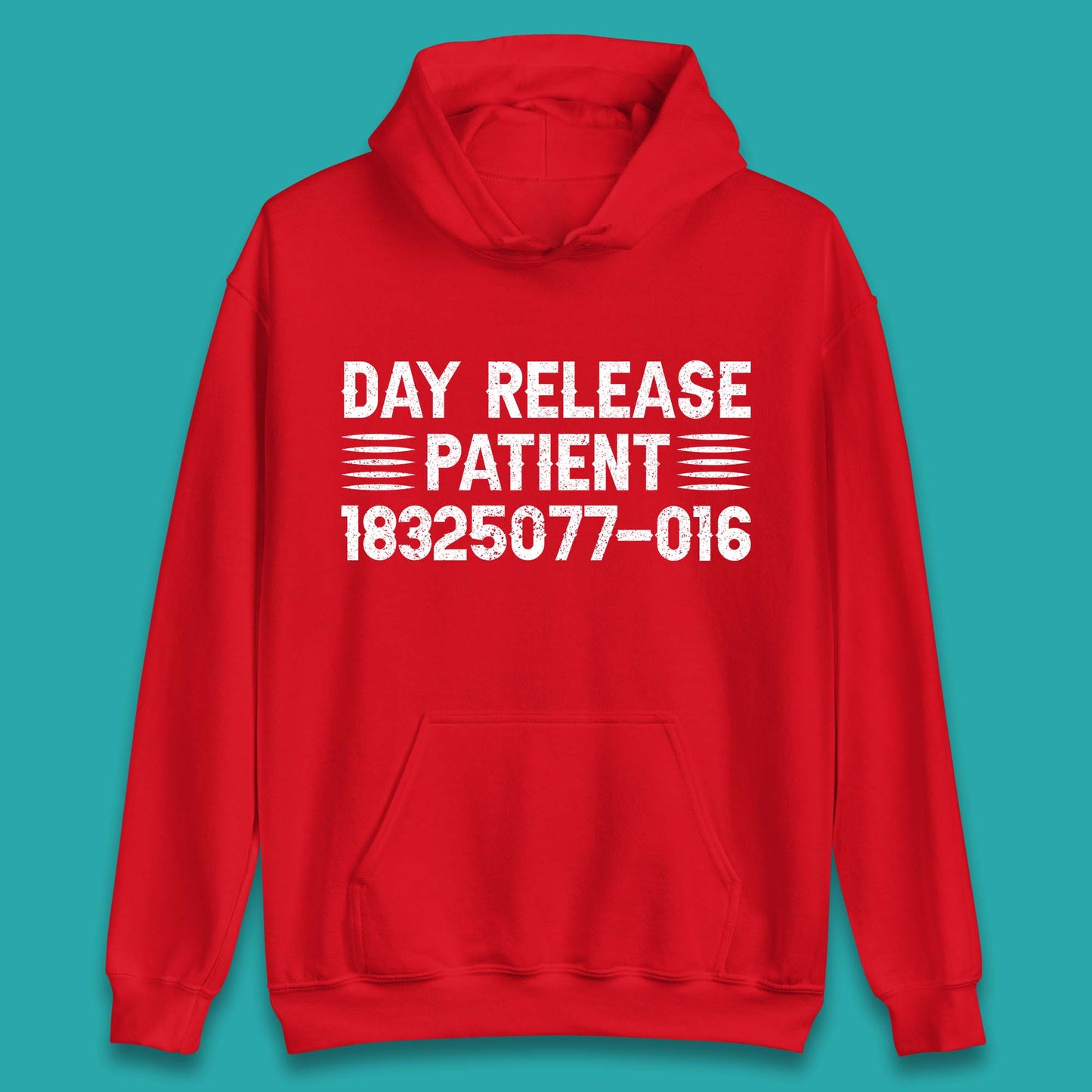 Day Release Patient Psycho Ward Halloween Mental Health Parole Jail Prison Funny Locked Up Unisex Hoodie