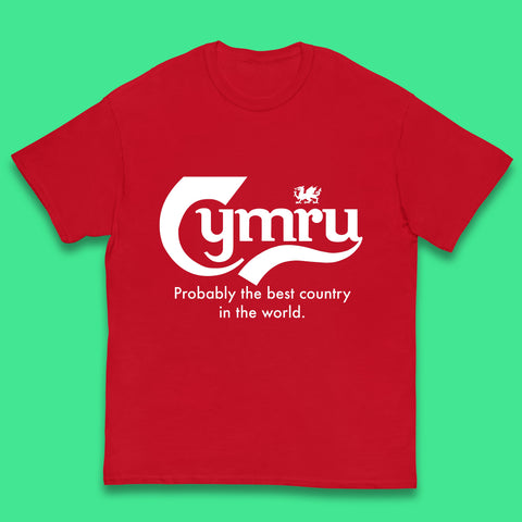Cymru Probably The Best Country In The World Funny Carlsberg Wales Gift Kids T Shirt