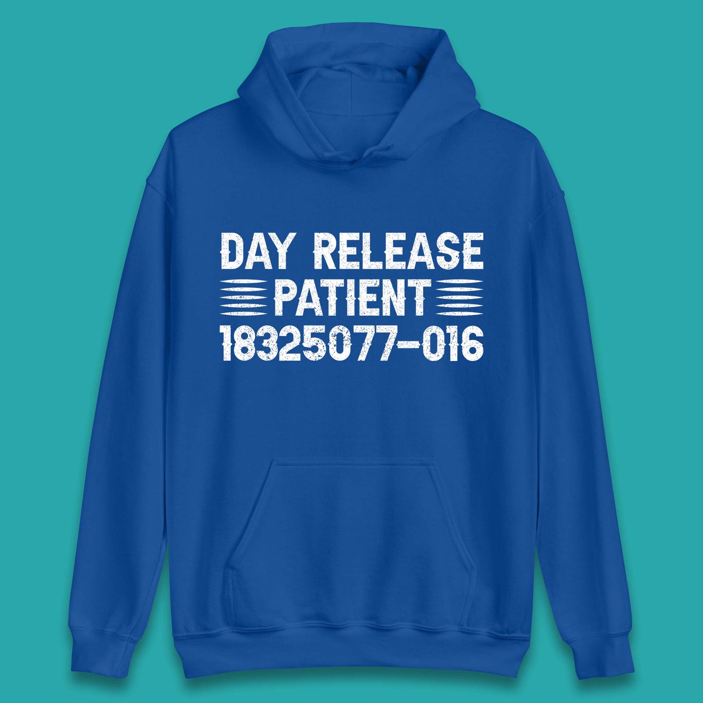 Day Release Patient Psycho Ward Halloween Mental Health Parole Jail Prison Funny Locked Up Unisex Hoodie