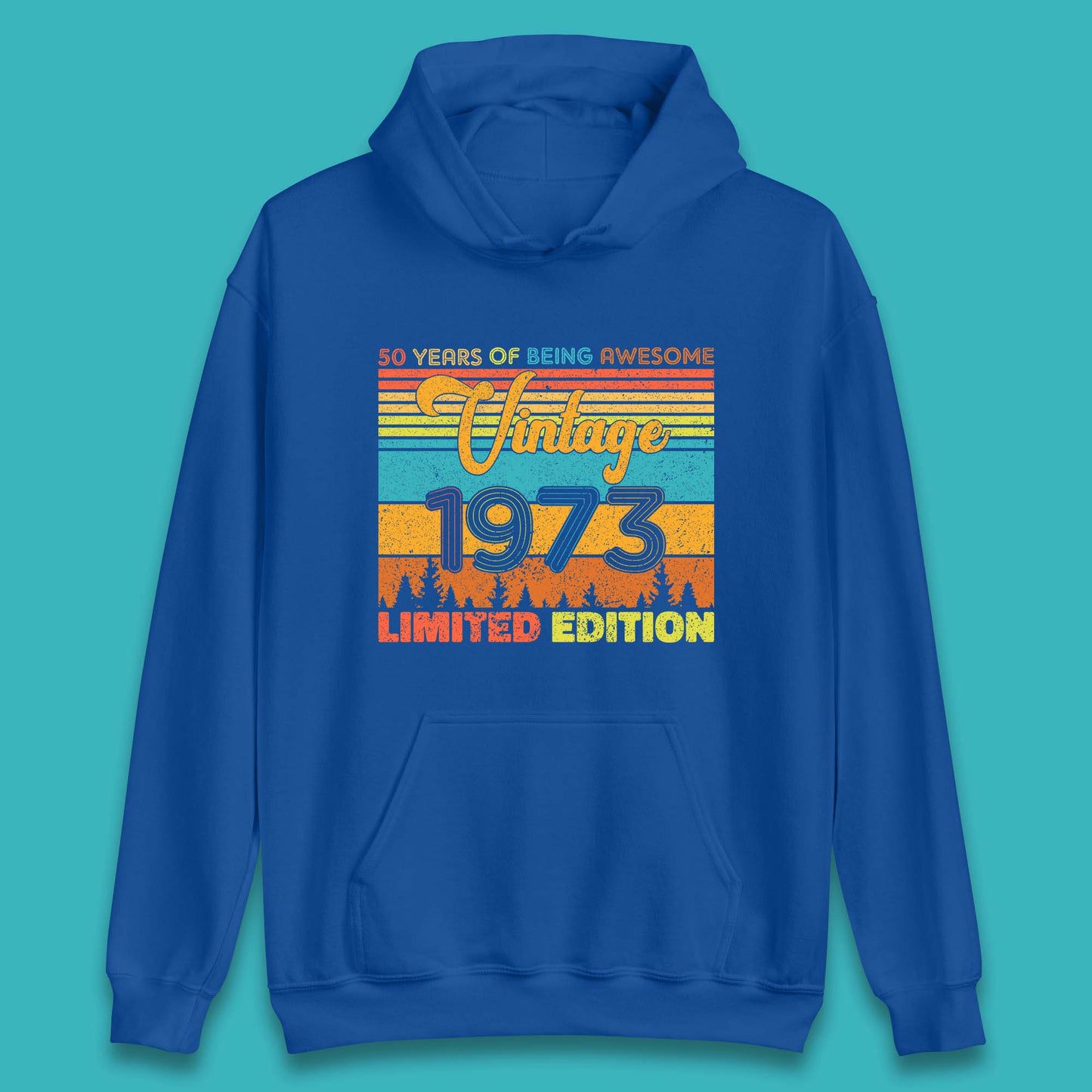 50 Years Of Being Awesome Vintage 1973 Limited Edition Unisex Hoodie