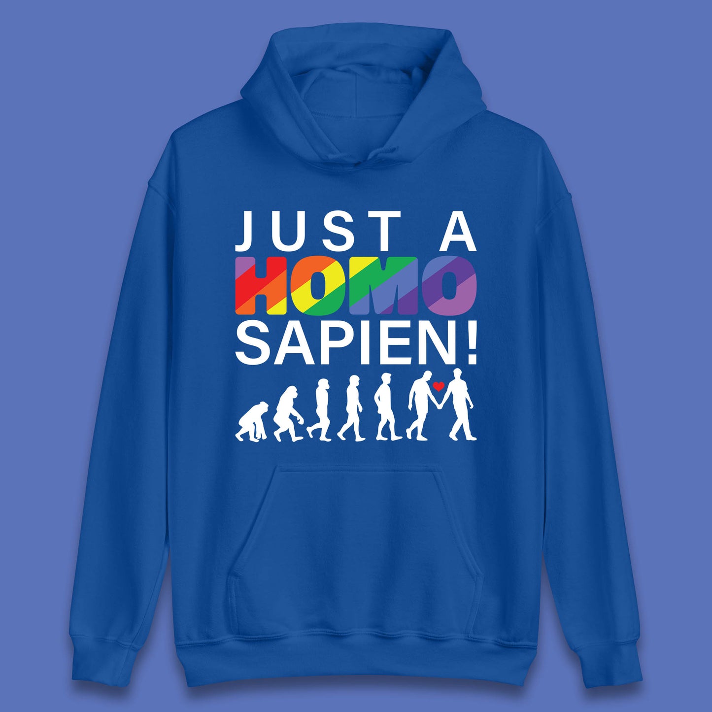 Just A Homo Sapien To Homo Erectus Evolution To Homo LGBTQ Funny Gay Pride Unisex Hoodie