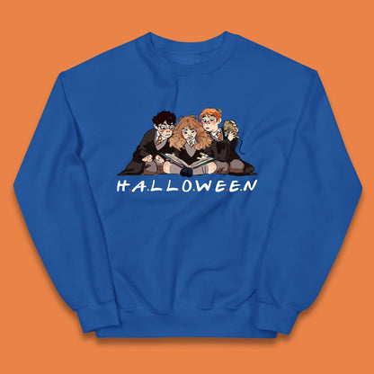 Halloween Harry Potter Series Character Harry, Ron and Hermione Friends Movie Spoof Fantasy Novels Film  Kids Jumper