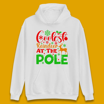 coolest reindeer hoodie