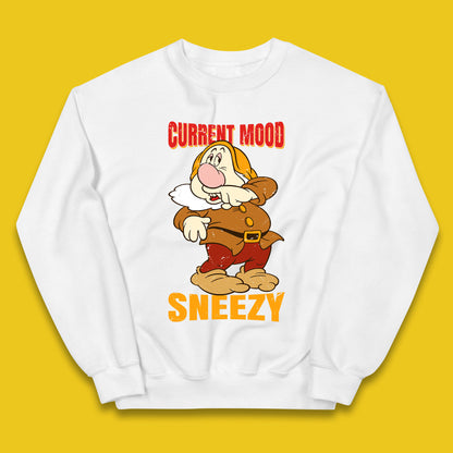 Disney Seven Dwarfs Current Mood Grumpy Bashful Sleepy Doc Dopey Sneezy Happy 7 Dwarfs Matching Disneyland Vacation Kids Jumper