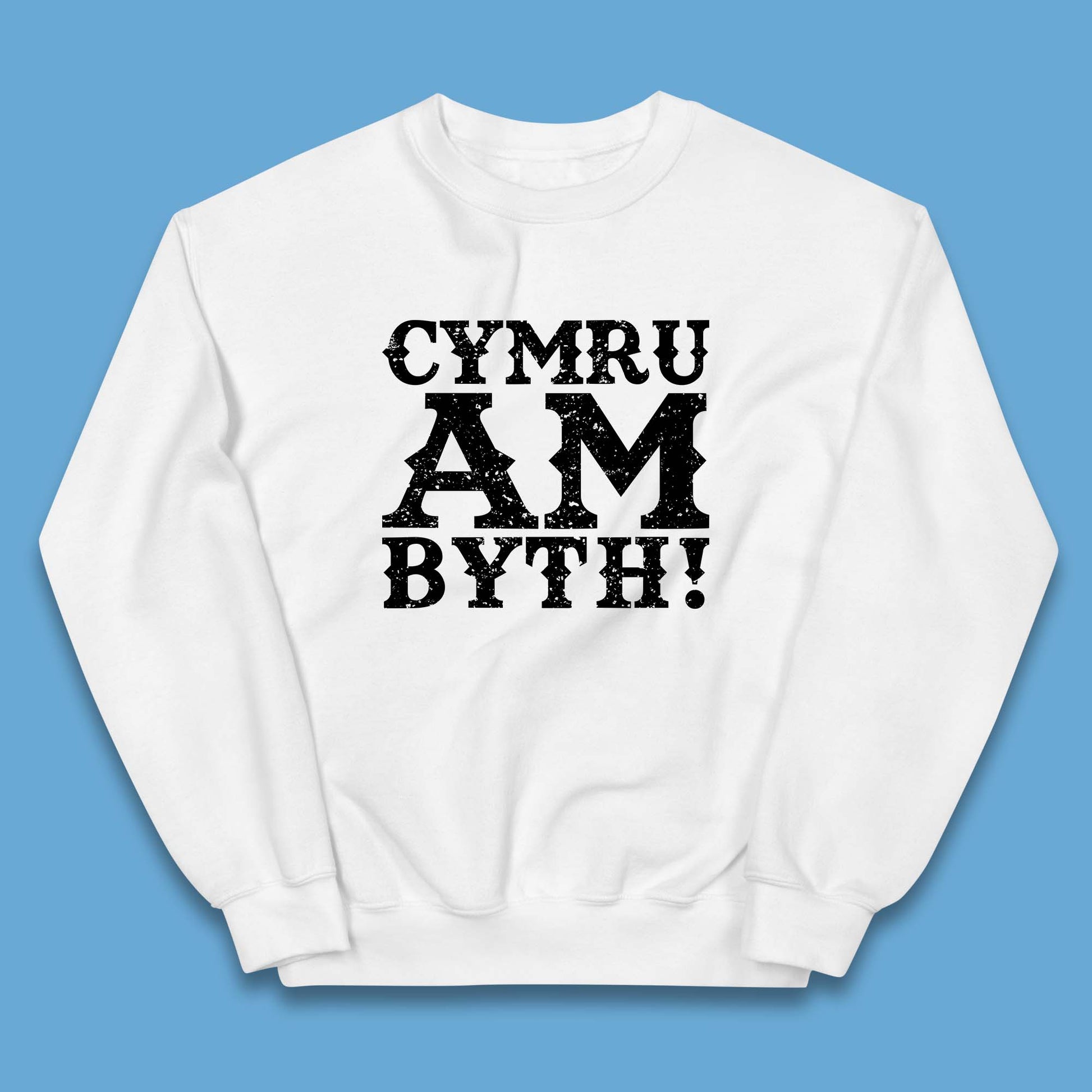 Childrens Wales Sweatshirt Rugby