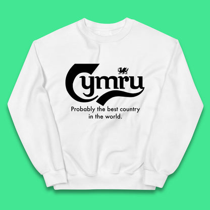 Childrens Wales Sweatshirt