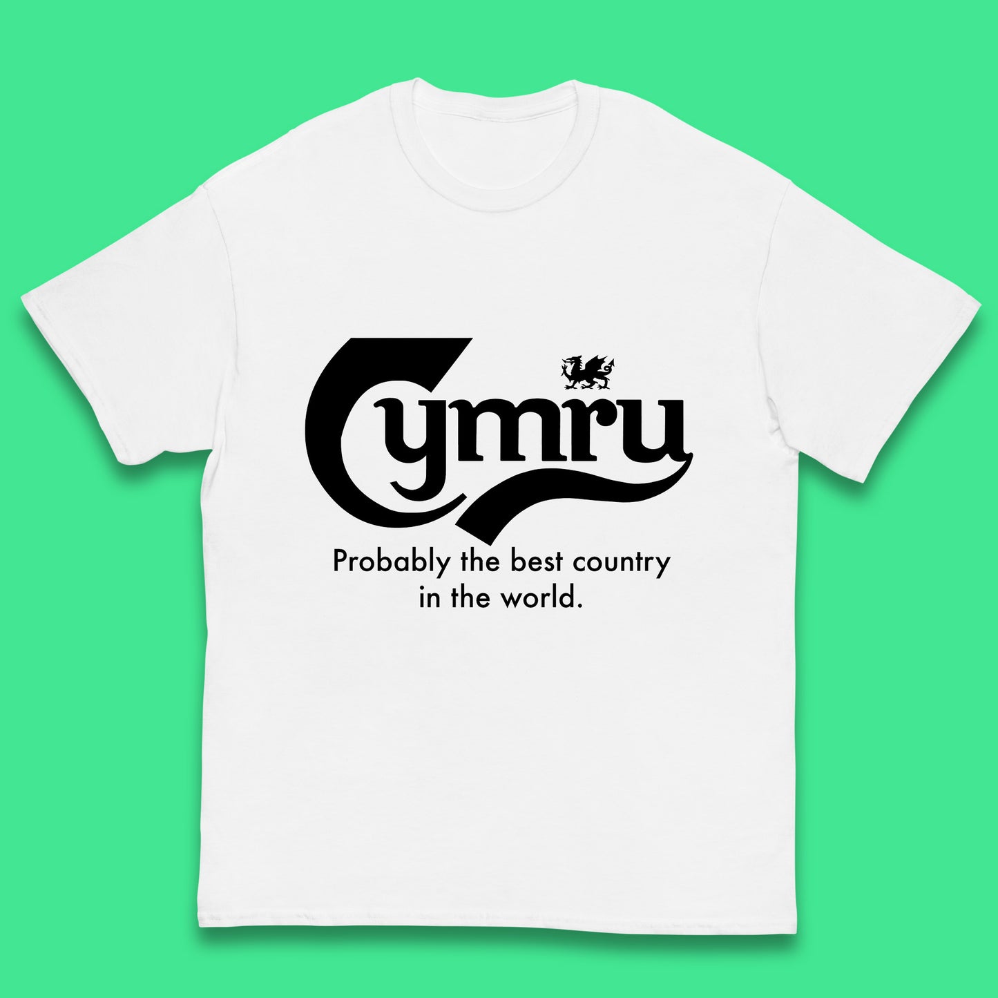 Cymru Probably The Best Country In The World Funny Carlsberg Wales Gift Kids T Shirt