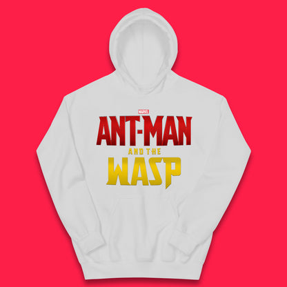 Marvel Ant Man and The Wasp American Comic Superhero Marvel Avengers Movie Kids Hoodie